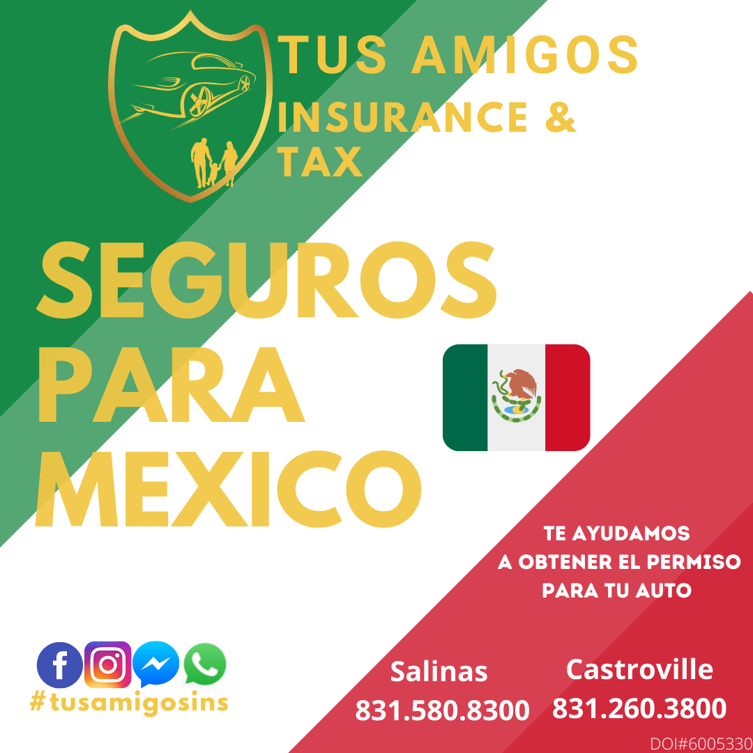 xexico insurance